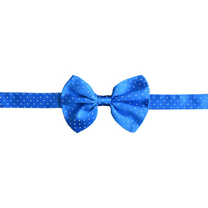 Royal blue bow tie with tiny white polka dots
